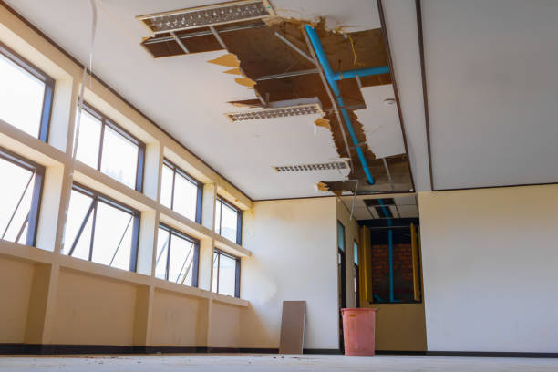 Best Professional water damage repair  in Jay, OK