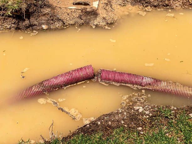 Best Water damage restoration insurance claims  in Jay, OK